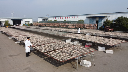 大冶 做足漁業(yè)文章，盤活水產經濟，打造特色農產品新名片