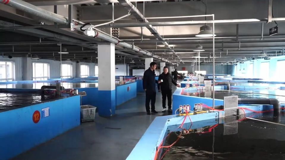 冬日暖陽里，聽一曲鄉(xiāng)村振興的“魚米”交響